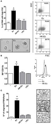 Prokaryotic RNA Associated to Bacterial Viability Induces Polymorphonuclear Neutrophil Activation